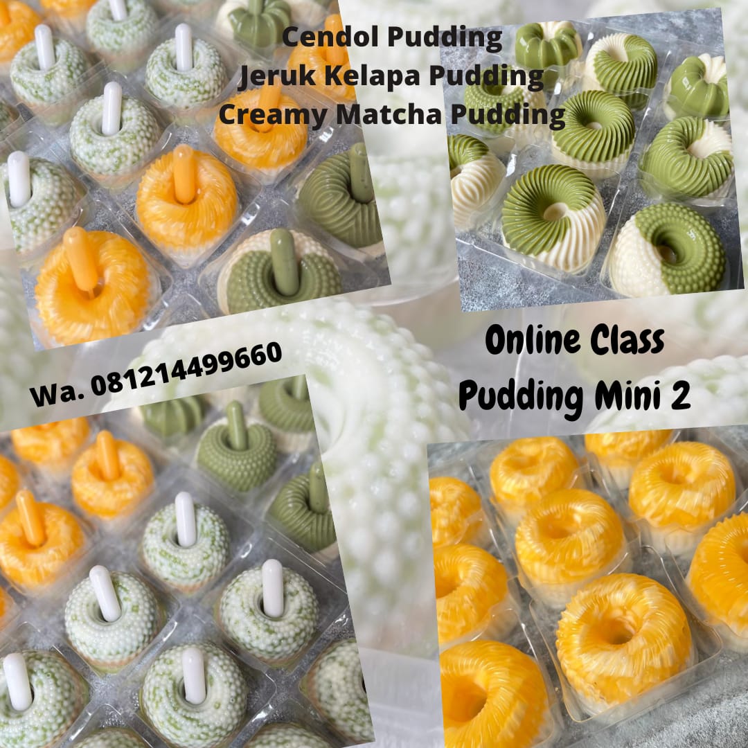 Pudding Mini 2